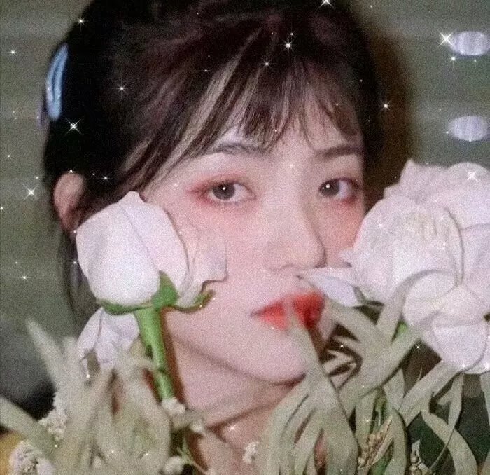 鬼森林 封面